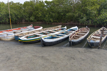 View of rustic canoes tied up on a mud flats