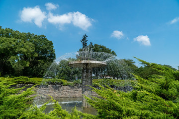 Obraz premium 猛暑の公園の噴水