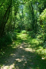 Obraz premium Landscape