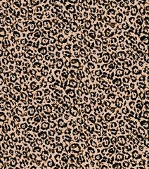 Seamless leopard pattern, animal print.