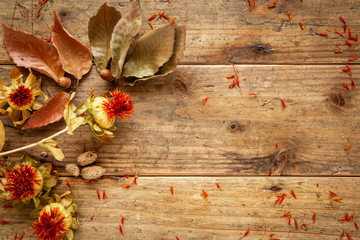 秋の背景素材。紅花、ドングリ、落ち葉、木目、背景