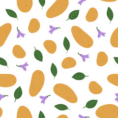 Potato. Seamless Vector Patterns