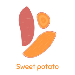 Sweet Potato. Vector Illustration EPS
