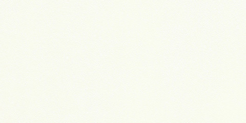 革のような、ざらざらとした質感の背景素材　白