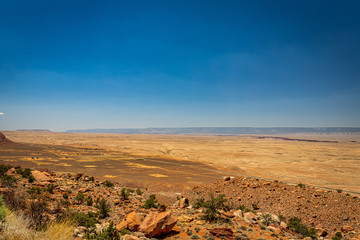 Kaibab Plateau Arizona