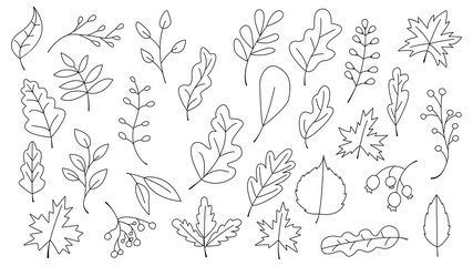 doodle hand drawnAutumn Leaves Set, Vector Illustration, Autumn leaves or fall foliage icons, Falling poplar, autumn leaves for seasonal holiday greeting card design