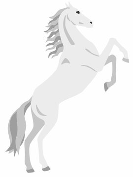 White horse on its hind legs. Vector graphics. Isolated image
