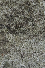 seamless abstract texture pattern of stone background for textile