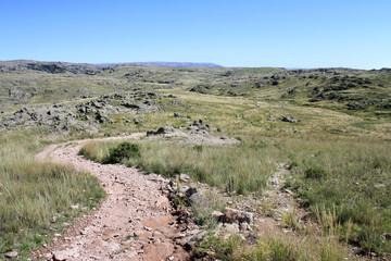 Hiking. View of the dirt footpath along the meadow and grassland high in the mountains. 