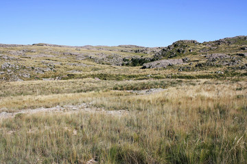 Obraz premium Rural landscape. View of the hill, yellow grassland and meadow in autumn.