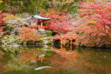 Naklejka premium Beautiful japanese garden with colorful maple trees in Daigoji temple in autumn season, Kyoto, Japan
