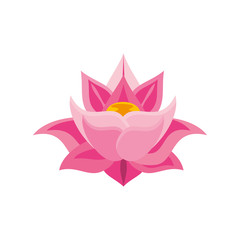 traditional Indian symbol, lotus flower