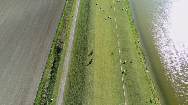 Drone view of cyclists riding river barrier, revealing Hooksiel, Germany