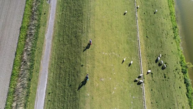 Aerial view two cyclists riding along river barrier, Hooksiel, Germany