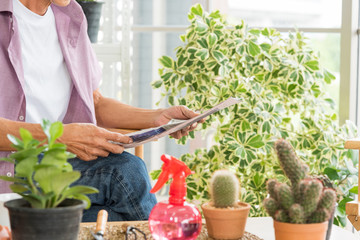 Senior asian retirement old man in casual outfit wearing glasses sitting and reading newspaper in modern green garden house