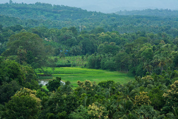 Obraz premium Elephant Rock Viewpoint