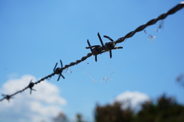 Barbed wire prominent in the picture, restricted area, no entry, shows a boundary.
