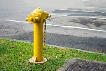 yellow fire hydrant on the grass near car park area