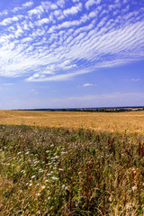 Obraz premium farmland agricultural landscape warwickshire england uk