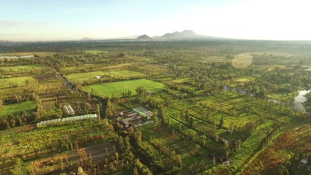 Vista a&eacute;rea de los viveros y canales de Xochimilco al amanecer, el drone volando hacia atr&aacute;s