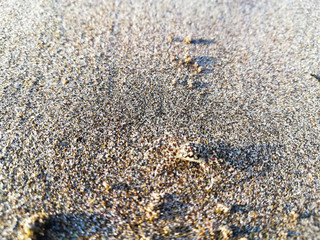 pebbles on the beach