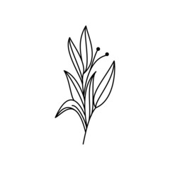 flower vector collection. Free Vectors
Background.Line logo flowers.