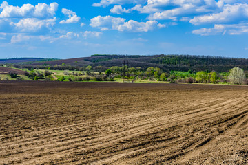 Fototapeta na wymiar Plowed agricultural field at summer. Rural landscape