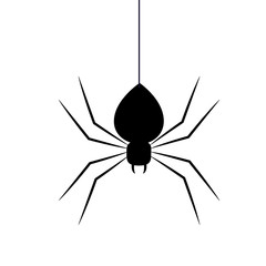 Halloween black spider vector design