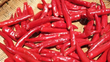 고추(chili)