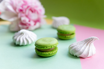 Assortment of pastel color macaroons.dessert snack ,sweets . french Dessert cake macaron or macaroon and white Meringues cookies, pink peony flowers. Flat lay composition.