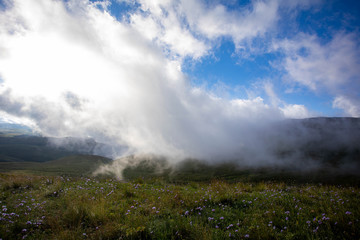 Blooming meadows in the summer landscapes of the caucasus mountains in Russia