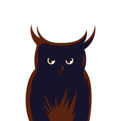 Halloween owl cartoon vector design