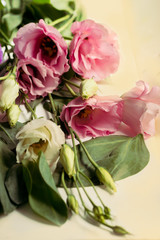 Fototapeta premium beautiful Eustoma white and pink flowers bouquet, Close up Lisianthus, tulip gentian, eustomas. isolate banner