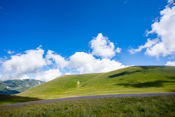 Blooming meadows in the summer landscapes of the caucasus mountains in Russia