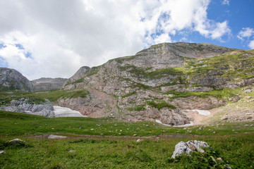 Blooming meadows in the summer landscapes of the caucasus mountains in Russia