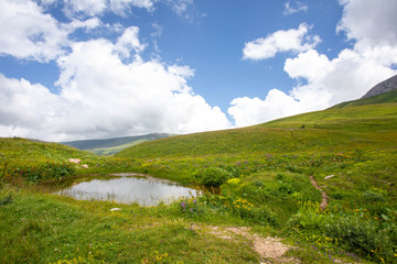 Obraz premium Blooming meadows in the summer landscapes of the caucasus mountains in Russia