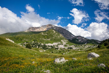 Fototapeta na wymiar Blooming meadows in the summer landscapes of the caucasus mountains in Russia