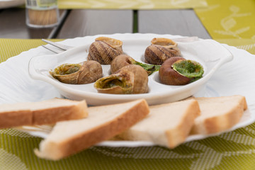 Escargots with sauce on white plate