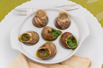 Escargots with sauce on white plate