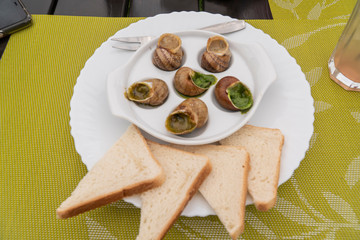 Escargots with sauce on white plate