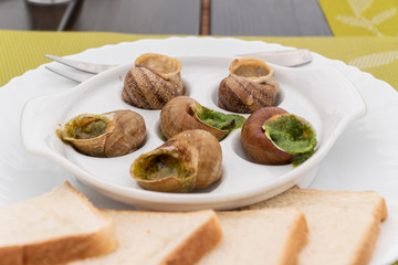 Escargots with sauce on white plate