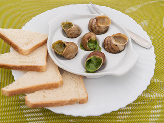 Escargots with sauce on white plate