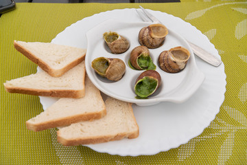 Escargots with sauce on white plate