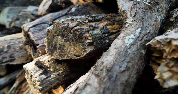 Close up of pile of chopped wood.