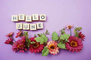 Hello June alphabet letters with pink flower decoration on purple background