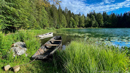 Am Lac Genin, Charix, Auvergne, Rhõne, Alpes, Frankreich