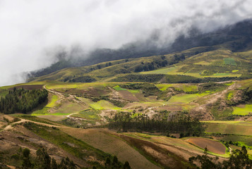 Fototapeta premium Green hills