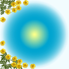 Fototapeta na wymiar corners from yellow flowers on blue background