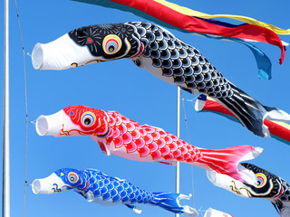 青空を泳ぐコイノボリ
