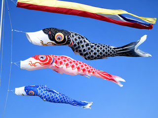 青空を泳ぐコイノボリ